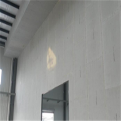 兴化宁波ALC板|EPS加气板隔墙与混凝土整浇联接的实验研讨